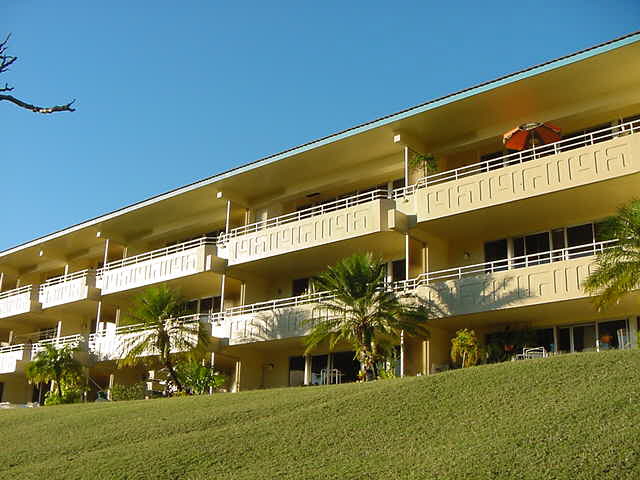 Poinciana front view